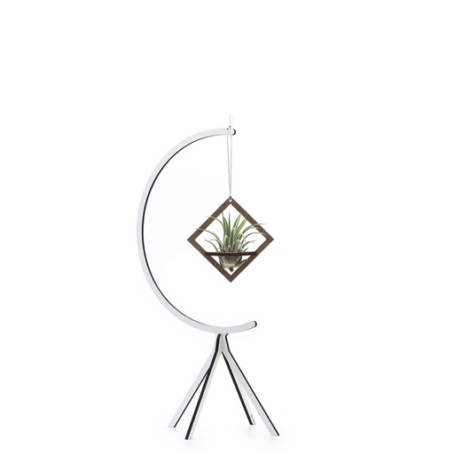 [air-sml-com-2-sta] Hanging Air Plant Combo #2 - small