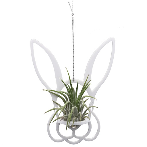 [air-sml-com-bun-w-rub] Bunny Holder (small) | with Air Plant